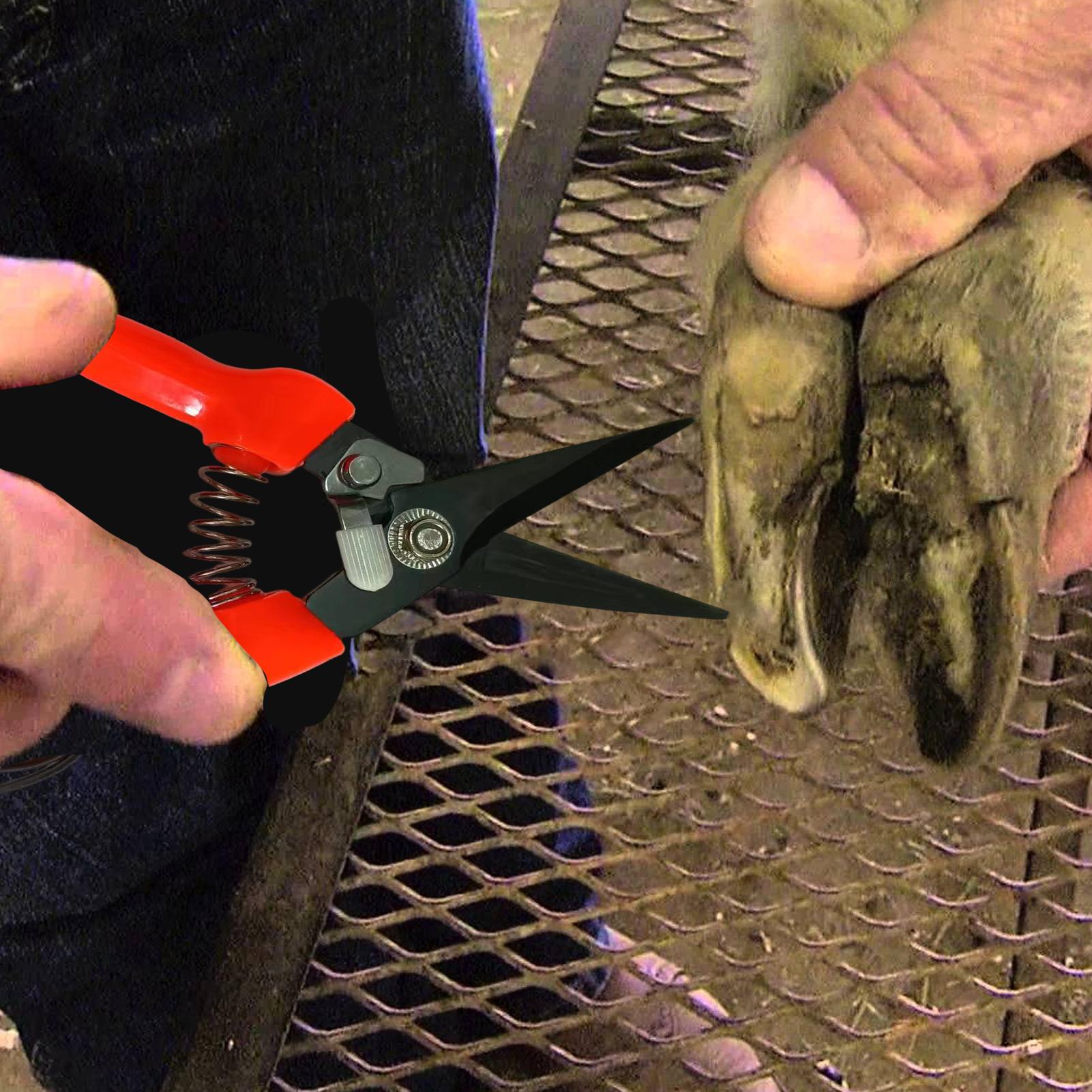 Garden Hand Trowel - Koyun Tırnak Kesme Makineleri Çalı Bitki