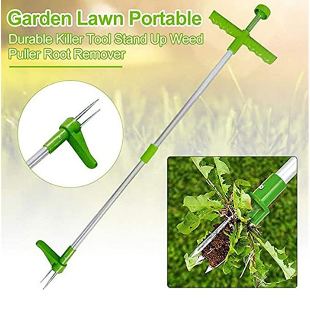 Grass Seed Spreader - Manuel dayanıklı öldürücü aracı ayakta ot