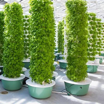 Işıklı Aeroponik Kule Bahçe Si - Hydroponic System incelemesi ve fiyatı