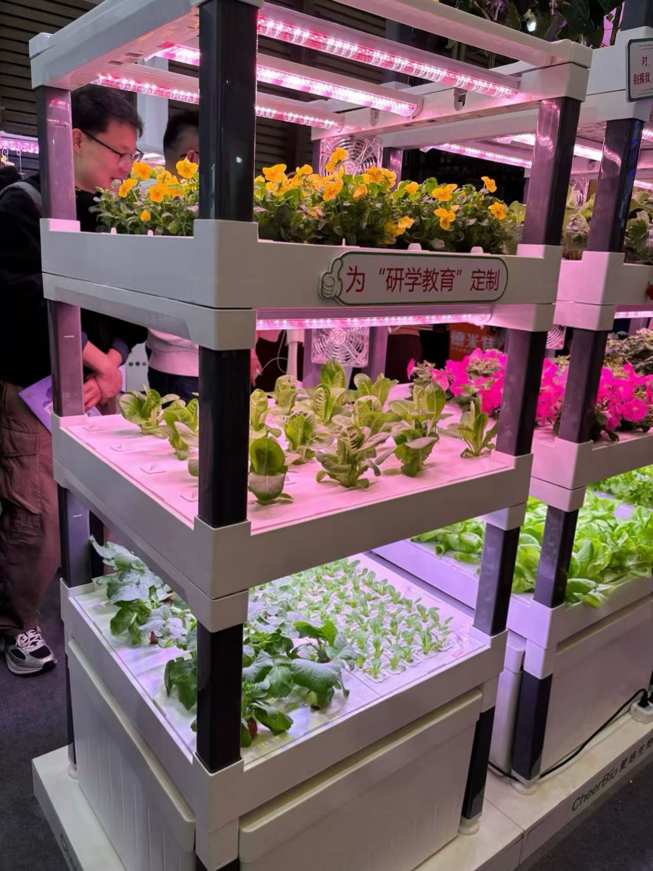 Yeni Otomatik Ev Tipi Dikey Hi - Hydroponic System incelemesi ve fiyatı