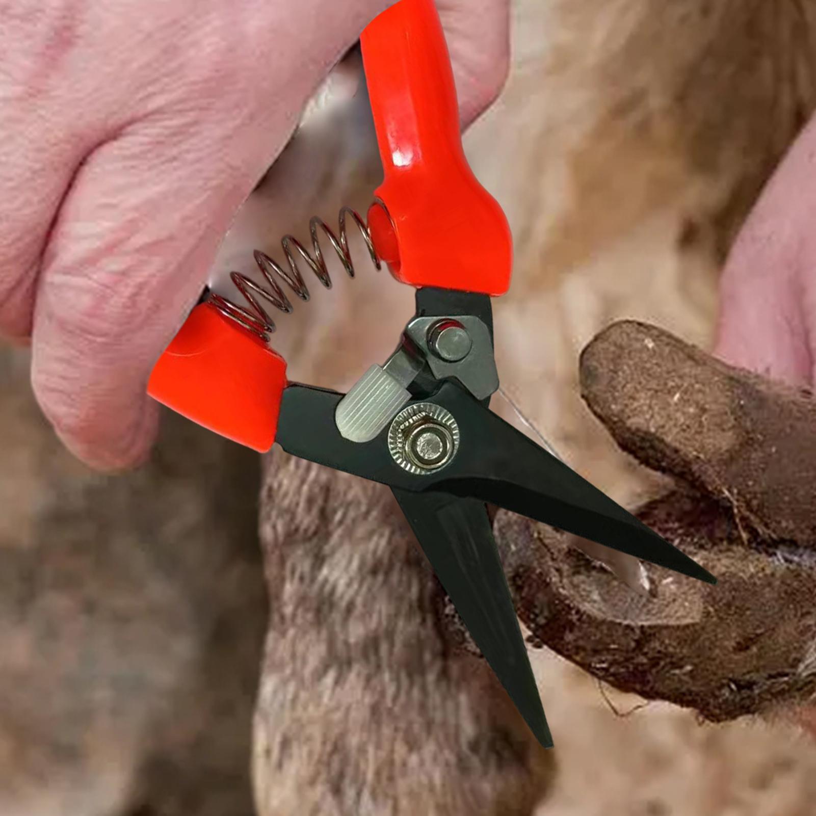 Koyun Tırnak Kesme Makineleri  - Garden Hand Trowel incelemesi ve fiyatı