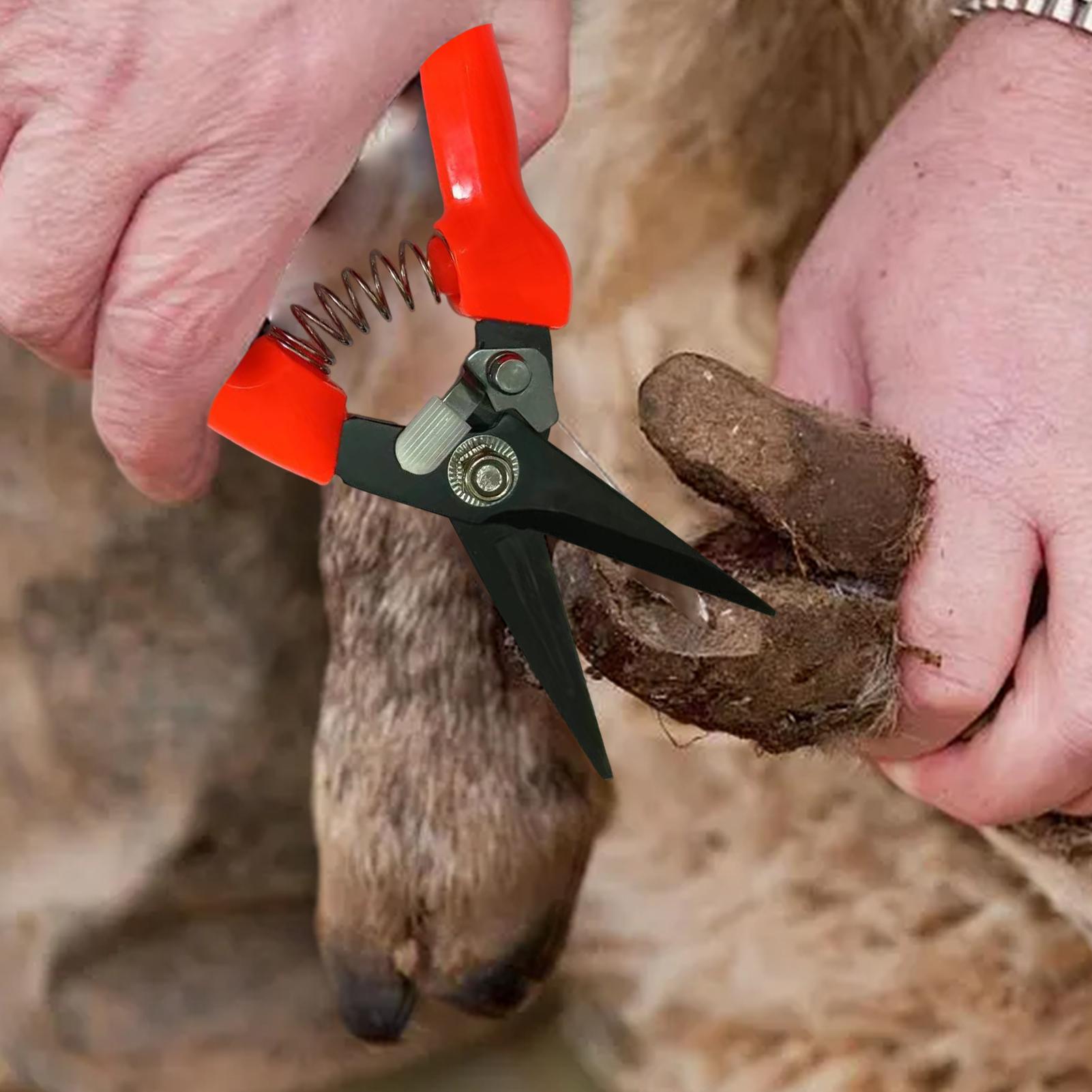 Koyun Tırnak Kesme Makineleri  - Garden Hand Trowel incelemesi ve fiyatı