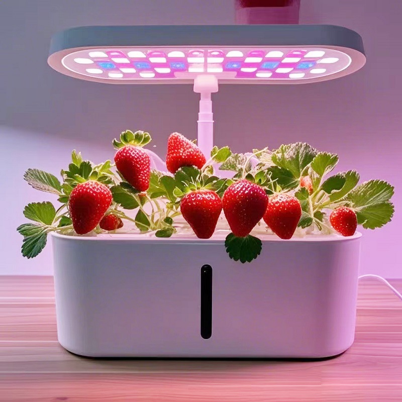 Ev Tipi Akıllı Hidroponik Sebz - Hydroponic System incelemesi ve fiyatı