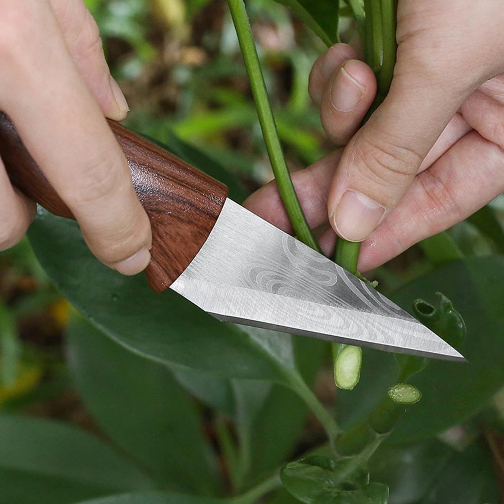 Aşılama Bıçağı Aşılama Aletler - Harvest Knife Garden incelemesi ve fiyatı