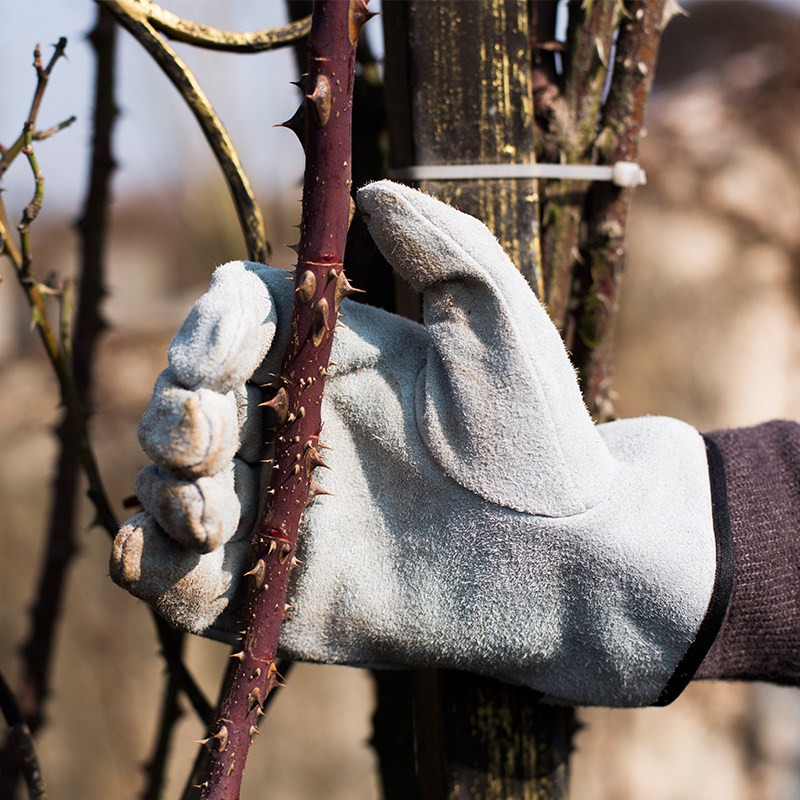 Bir Çift Bahçe Eldiveni, Diken - Gardening Tools Gloves incelemesi ve fiyatı