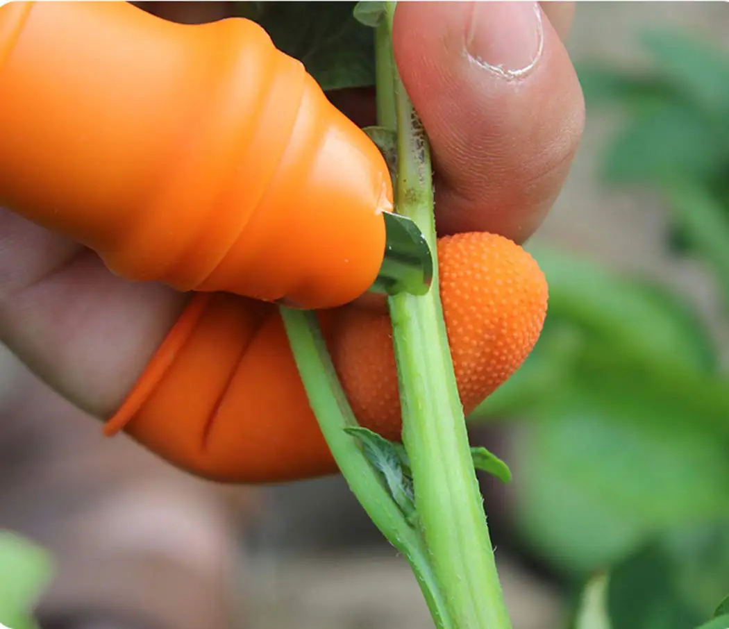 Bahçecilik Silikon Başparmak B - Harvest Knife Garden incelemesi ve fiyatı
