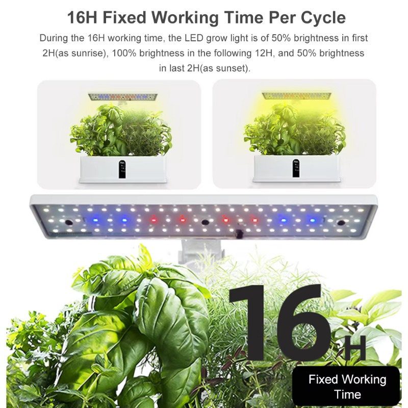 9 Bölmeli Akıllı Hidroponik Ye - Hydroponic System incelemesi ve fiyatı
