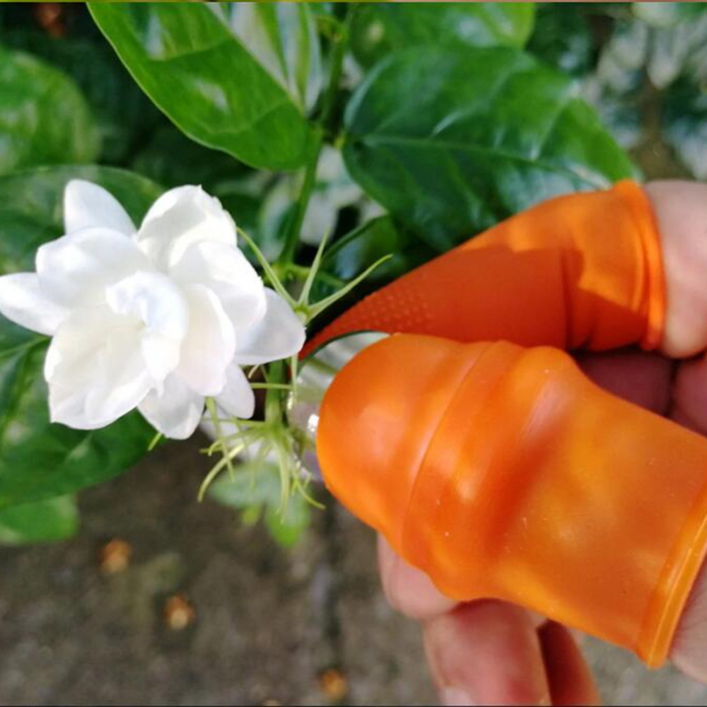 Bahçe Silikon Başparmak Bıçağı - Harvest Knife Garden incelemesi ve fiyatı