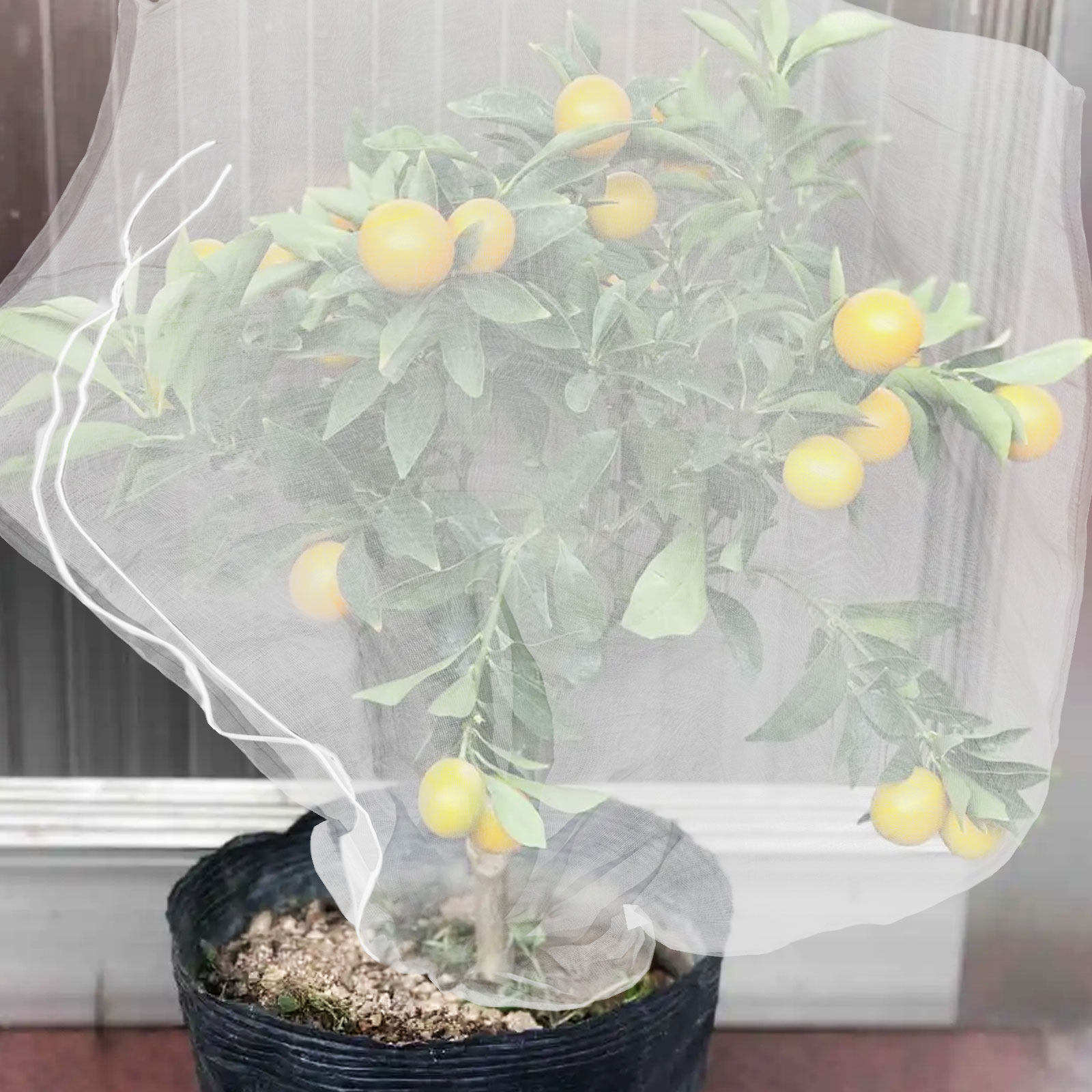 8 Adet Bitki Koruma File Çanta - Garden Netting Cover incelemesi ve fiyatı