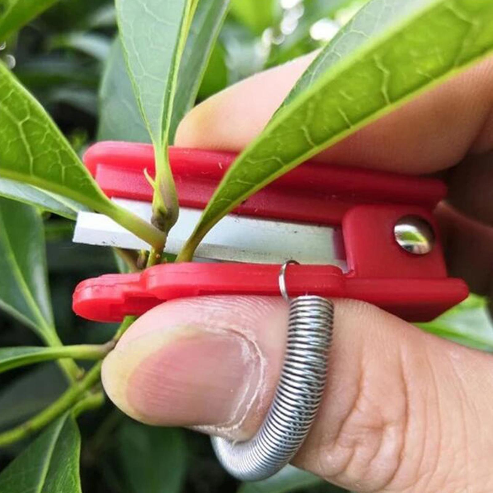 Çok fonksiyonlu başparmak bıça - Harvest Knife Garden incelemesi ve fiyatı