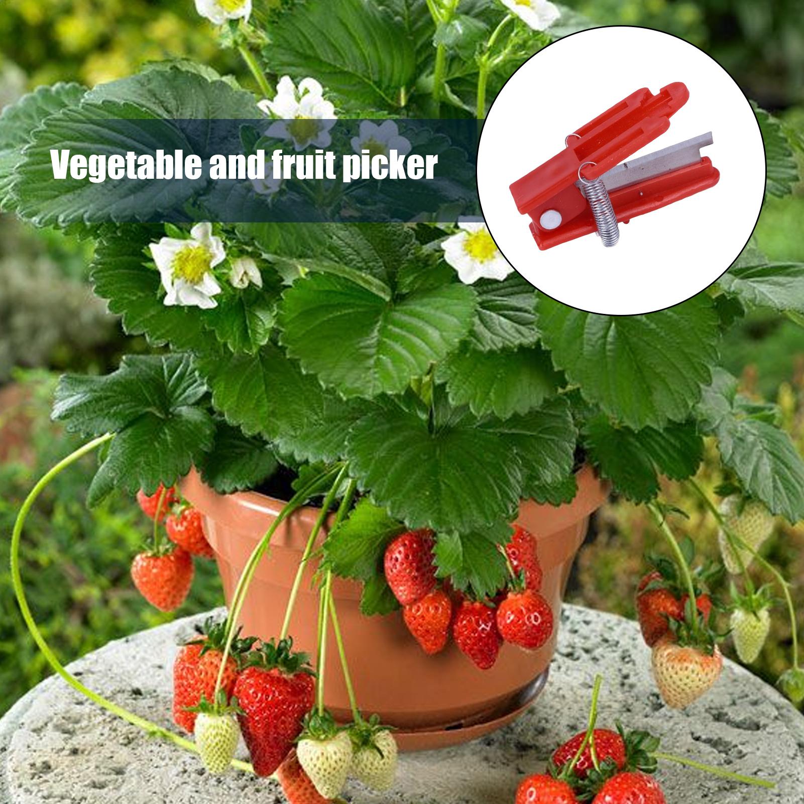 Çok fonksiyonlu başparmak bıça - Harvest Knife Garden incelemesi ve fiyatı