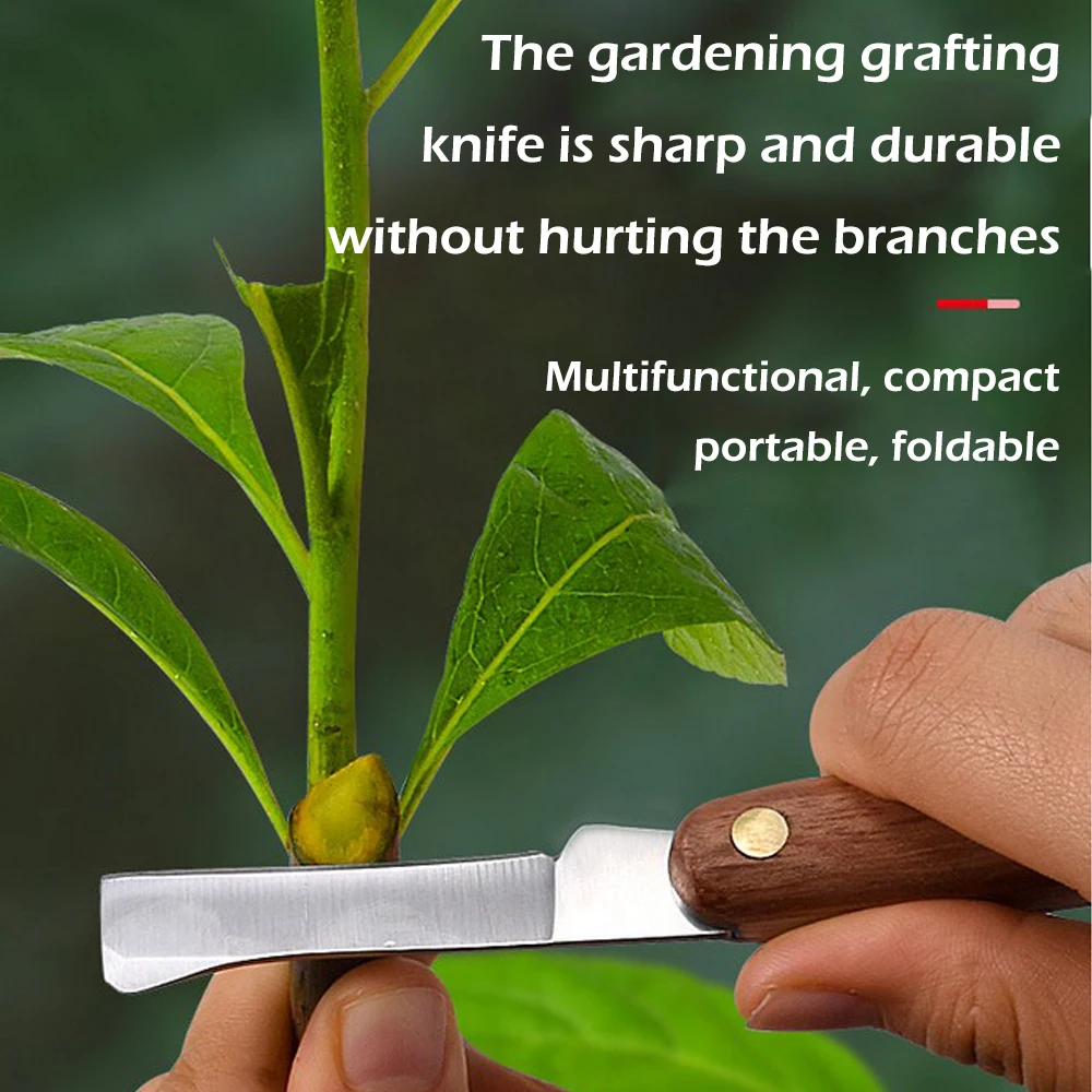 Aşılama araçları katlanabilir  - Harvest Knife Garden incelemesi ve fiyatı