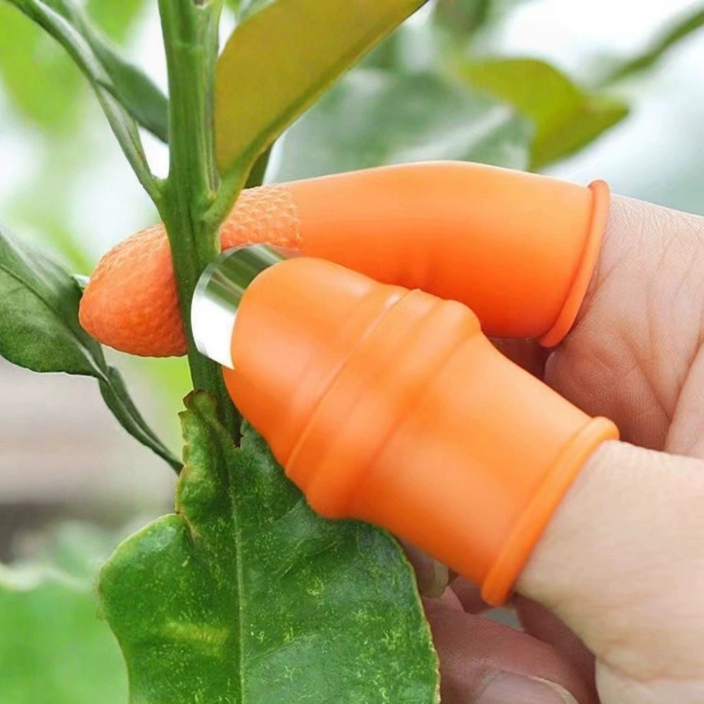 Sebze Toplama Paslanmaz Çelik  - Harvest Knife Garden incelemesi ve fiyatı